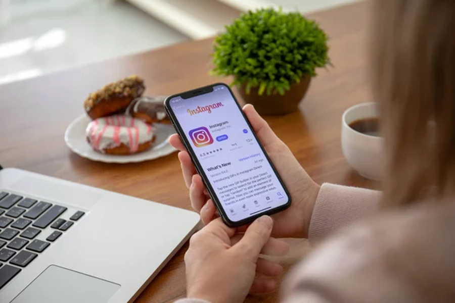 Instagram Story Viewer Services